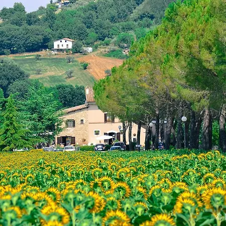 La Contea By Bice Collescipoli