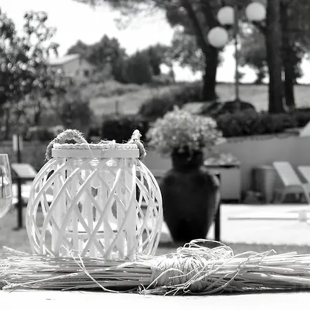 Agroturismo La Contea By Bice Collescipoli