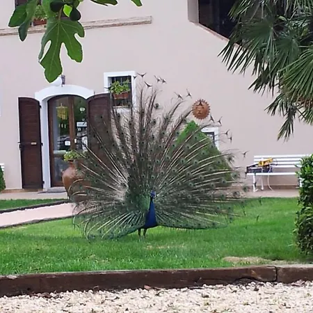 La Contea By Bice Agroturismo *